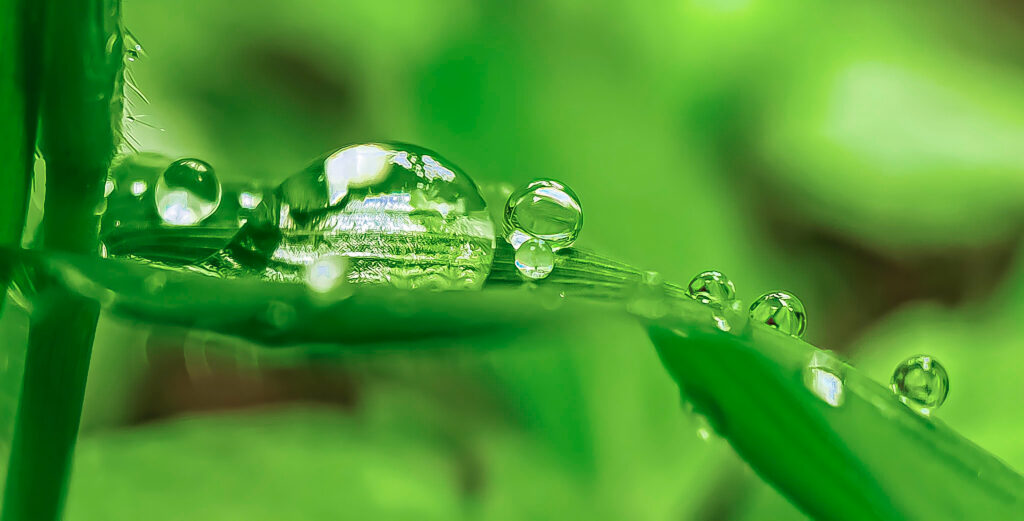 water drops