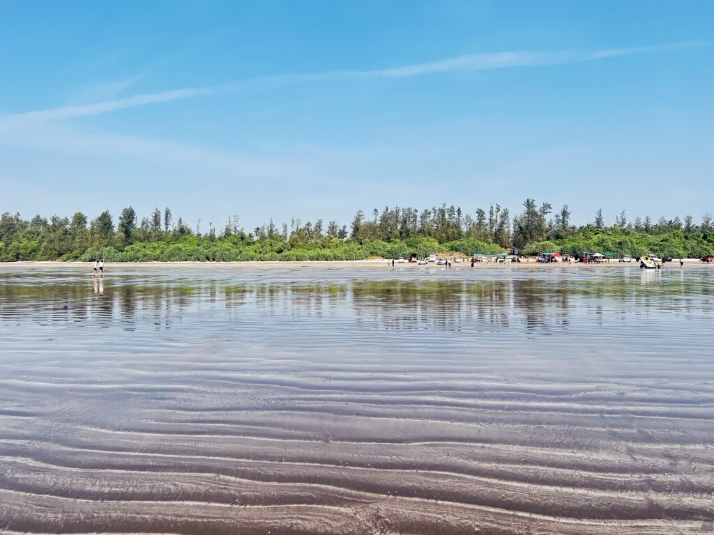 Indian sea beach nature