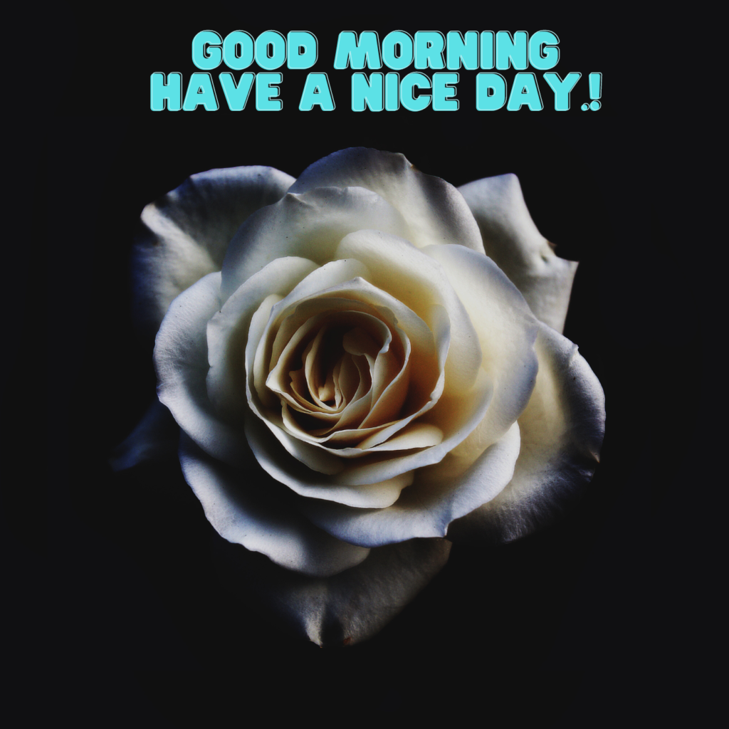 good morning image_1